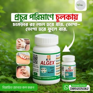 স্থায়ী সমাধান -এলজেক্স